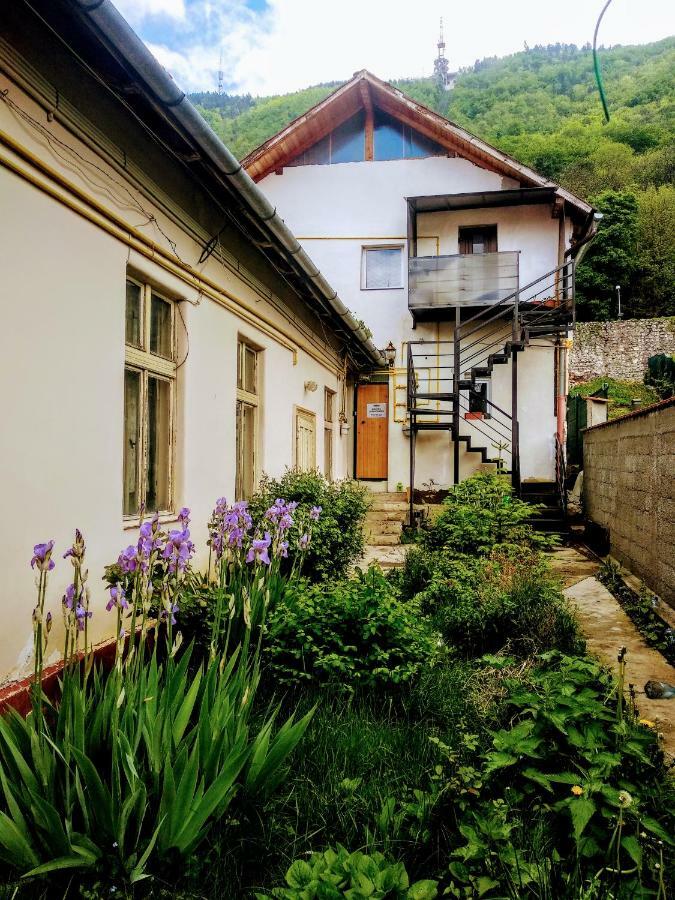 Downtown Hostel Braşov Eksteriør bilde